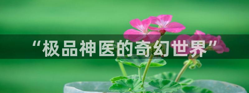 类似平行天堂漫画：“极品神医的奇幻世界”