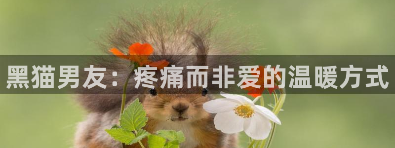 美丽新世界豪承天堂漫画：黑猫男友：疼痛而非爱的温暖方式