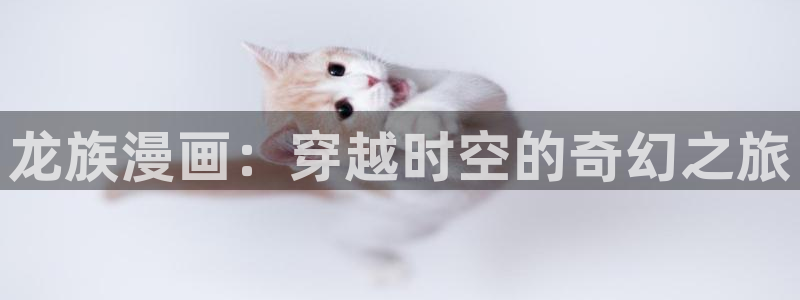 韩漫天堂漫画网站：龙族漫画：穿越时空的奇幻之旅